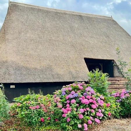 Ferienwohnung Schaapskooi 20 Dwingeloo Exterior foto