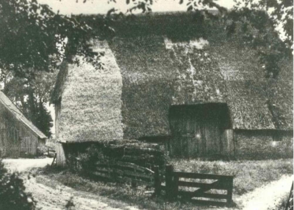 Ferienwohnung Schaapskooi 20 Dwingeloo Exterior foto