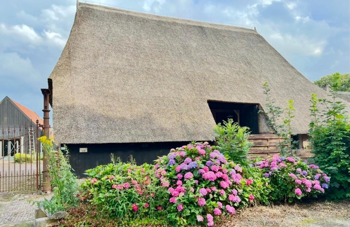 Ferienwohnung Schaapskooi 20 Dwingeloo Exterior foto